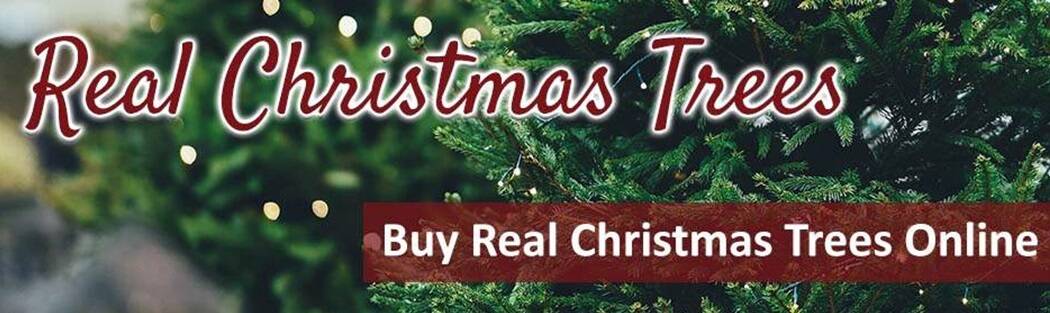 Real Christmas Trees header main page